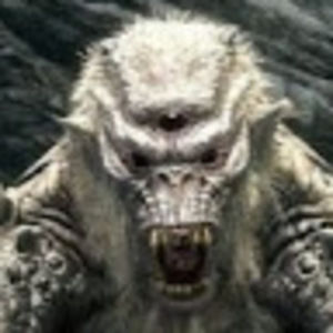 Meet your Posher, Carson